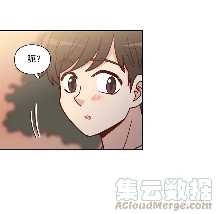 我不会再逃避了 第4页