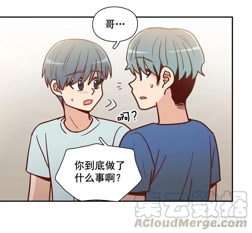 用哥哥换朋友 第13页