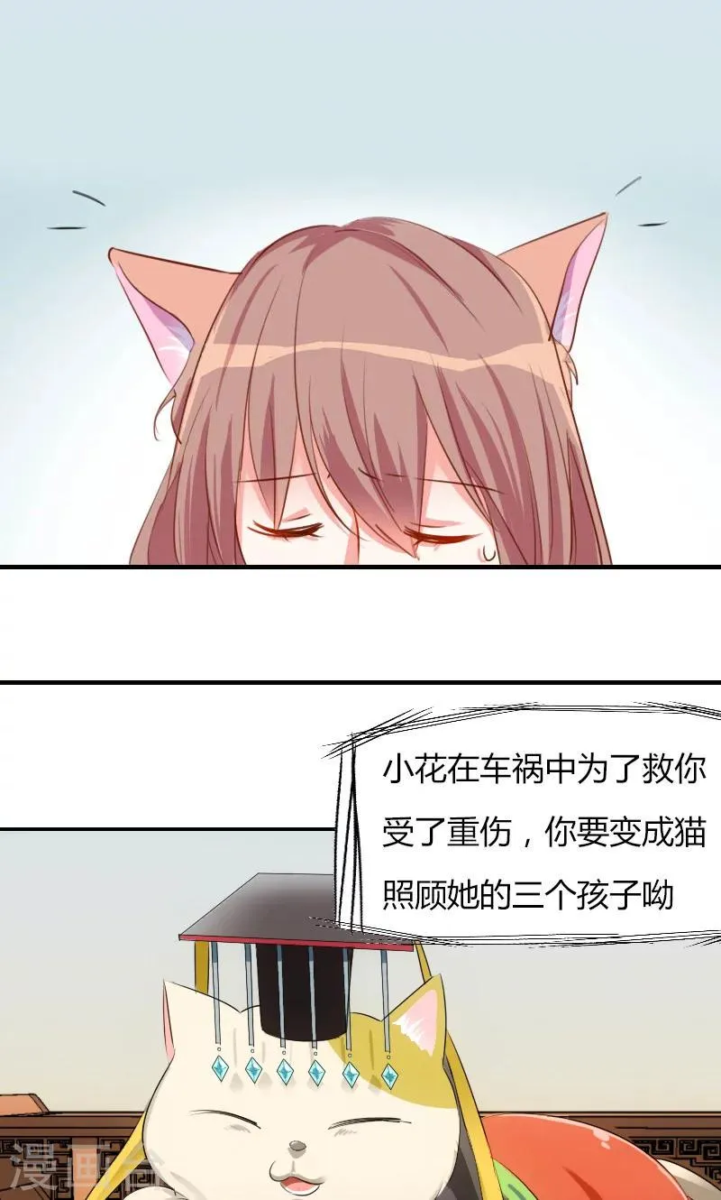 预告 第3页