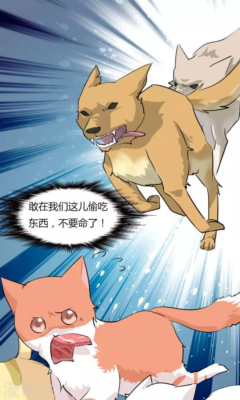 预告 第5页