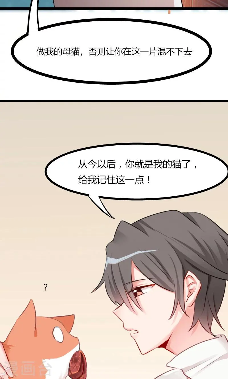 预告 第7页
