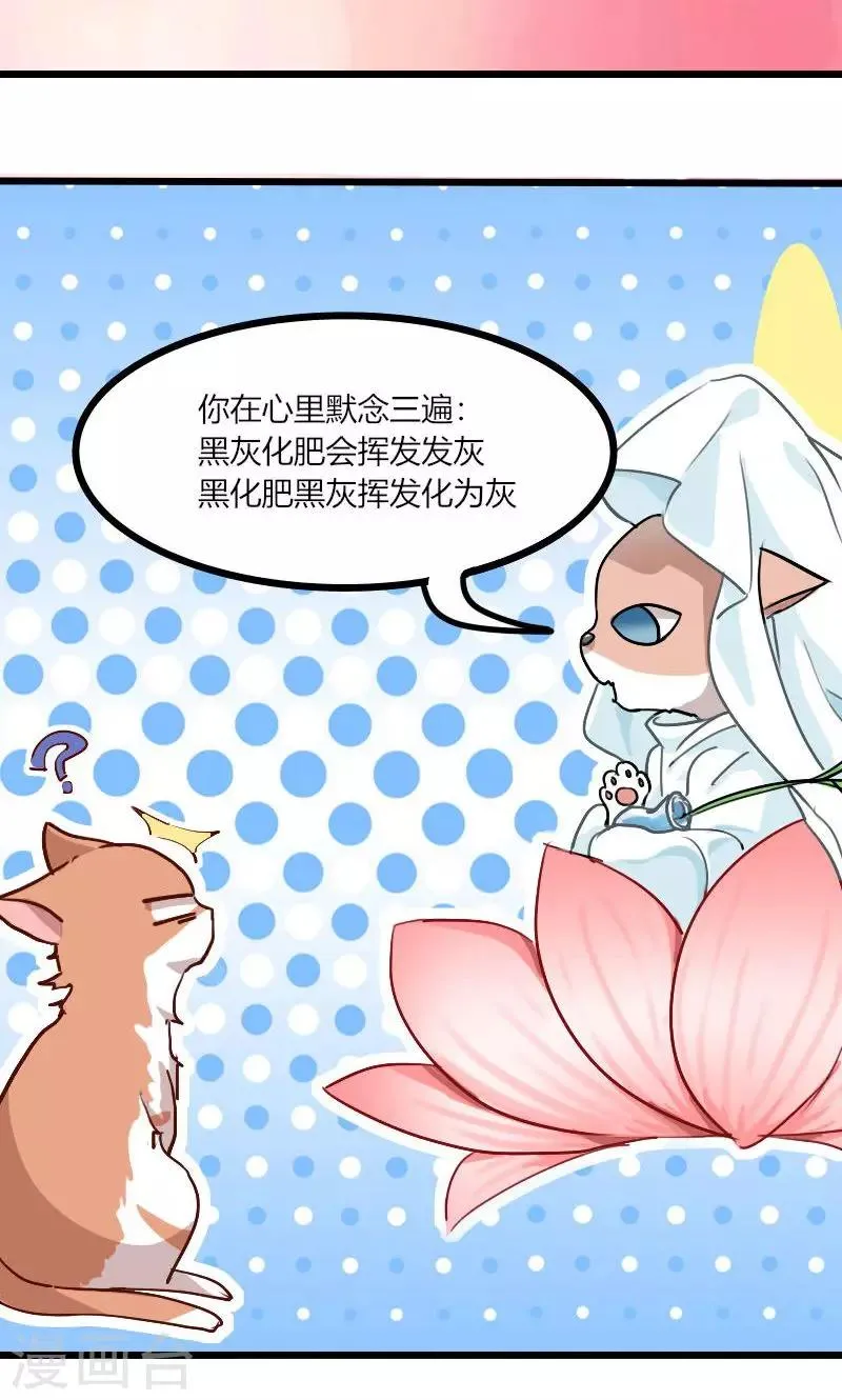预告 第11页