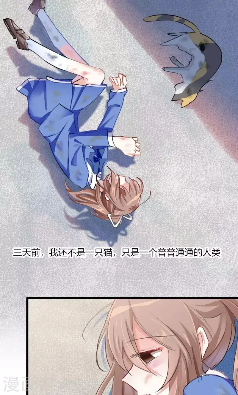 第2话 天降喵神？ 第3页