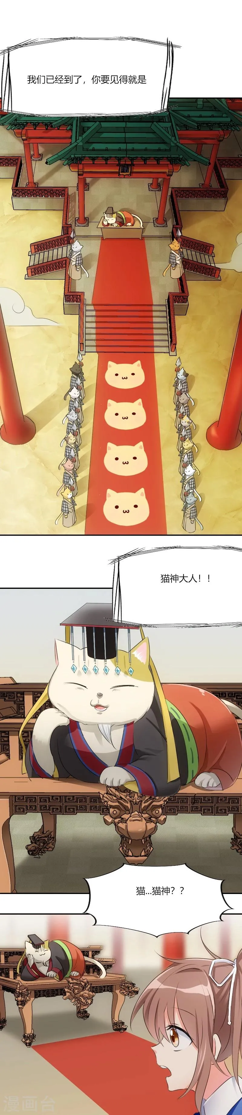 第3话 悲惨的喵生 第1页