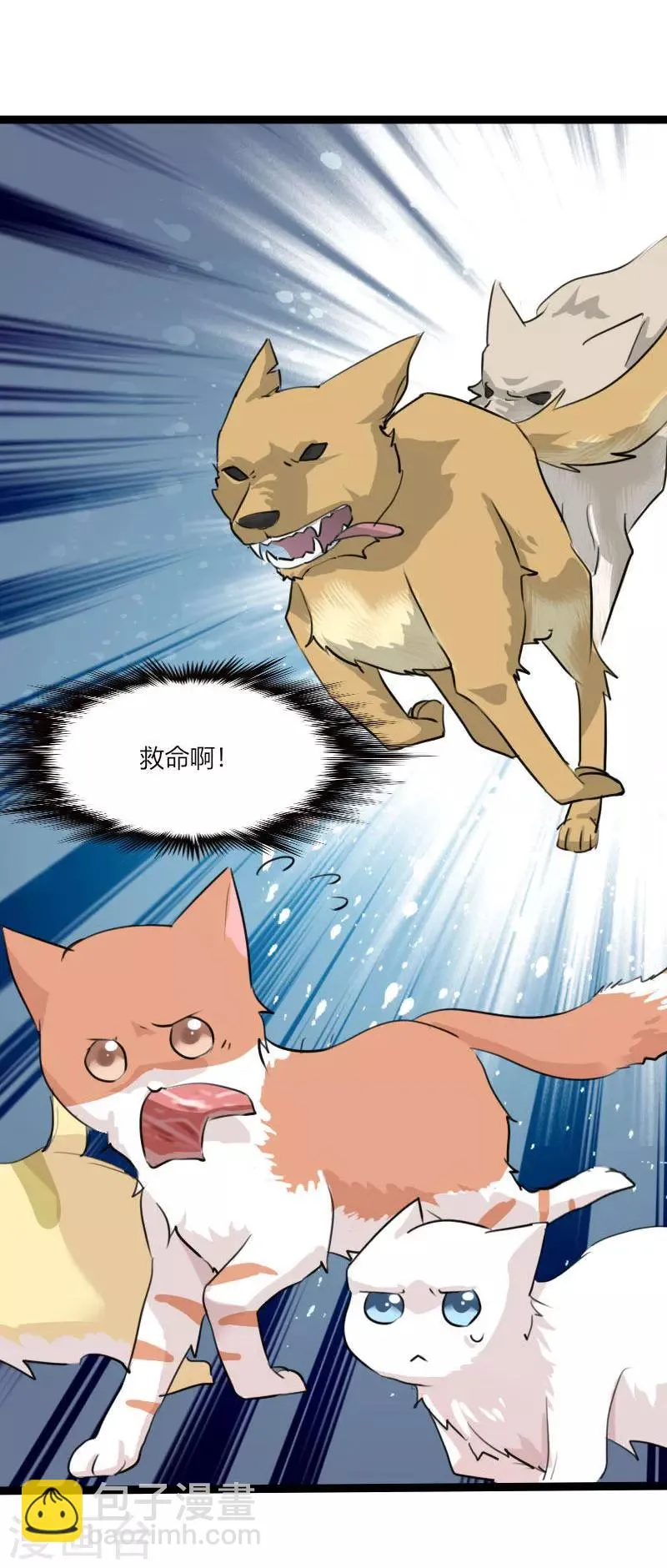 第3话 悲惨的喵生 第6页