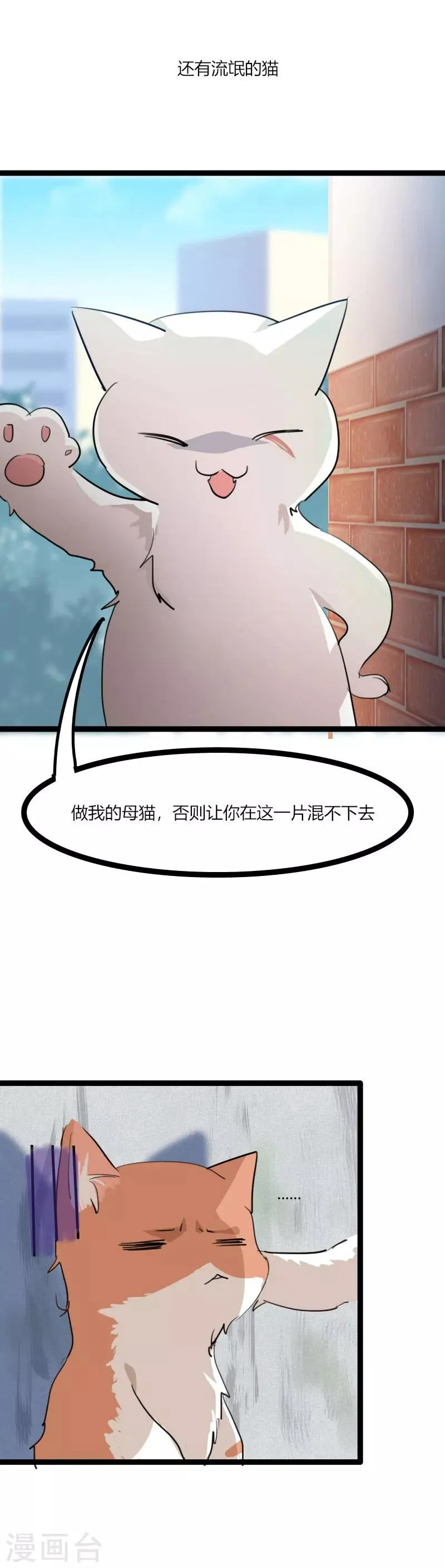 第3话 悲惨的喵生 第7页