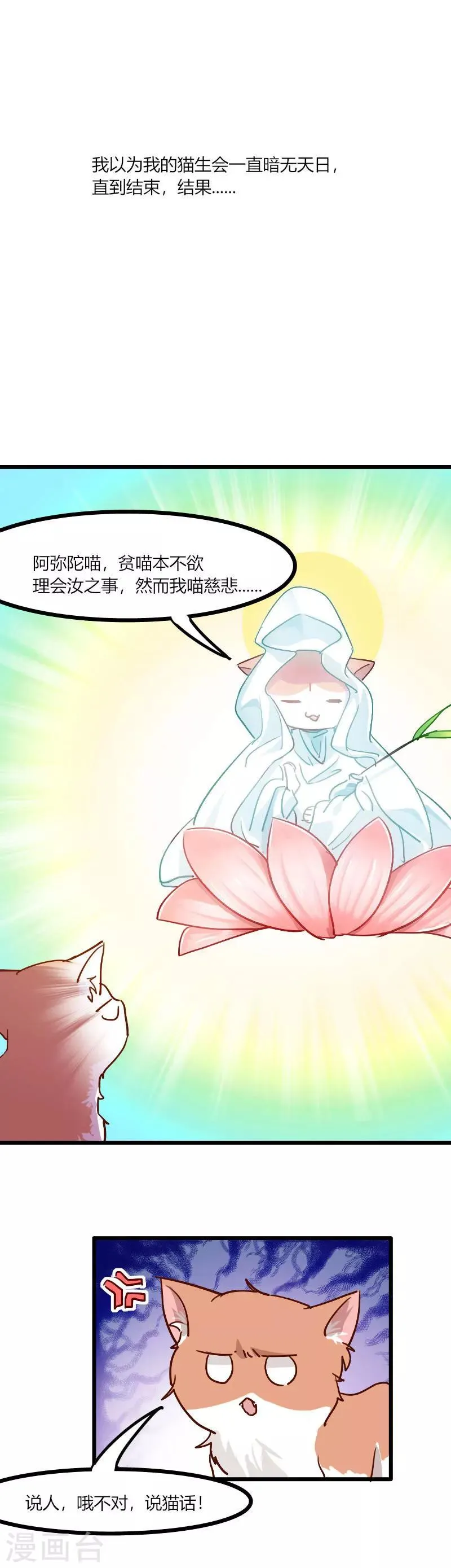 第3话 悲惨的喵生 第8页