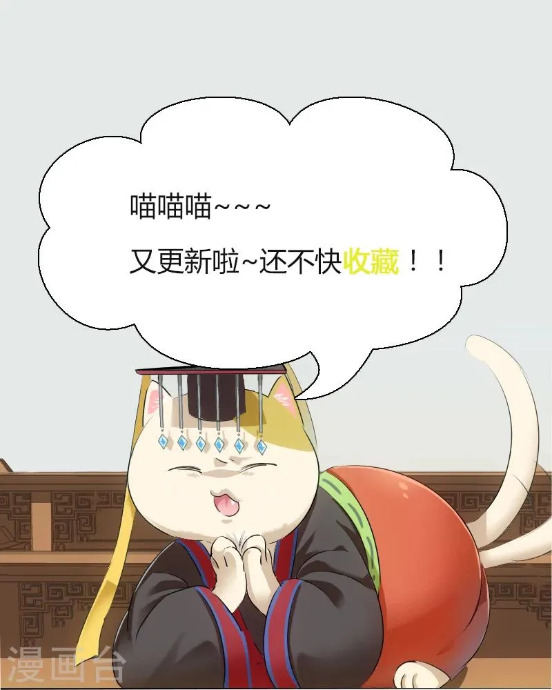 第3话 悲惨的喵生 第11页