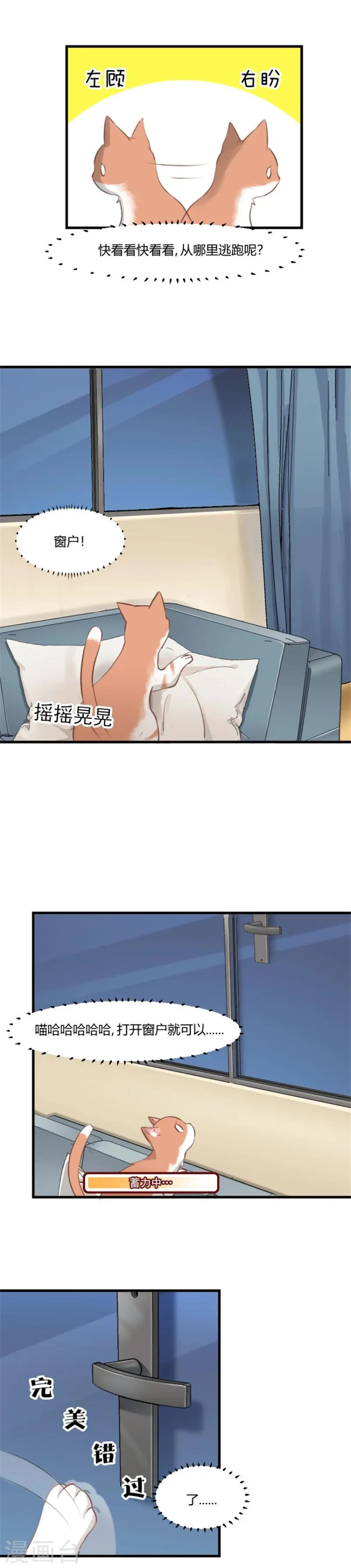 第6话 成功引起我的注意 第2页
