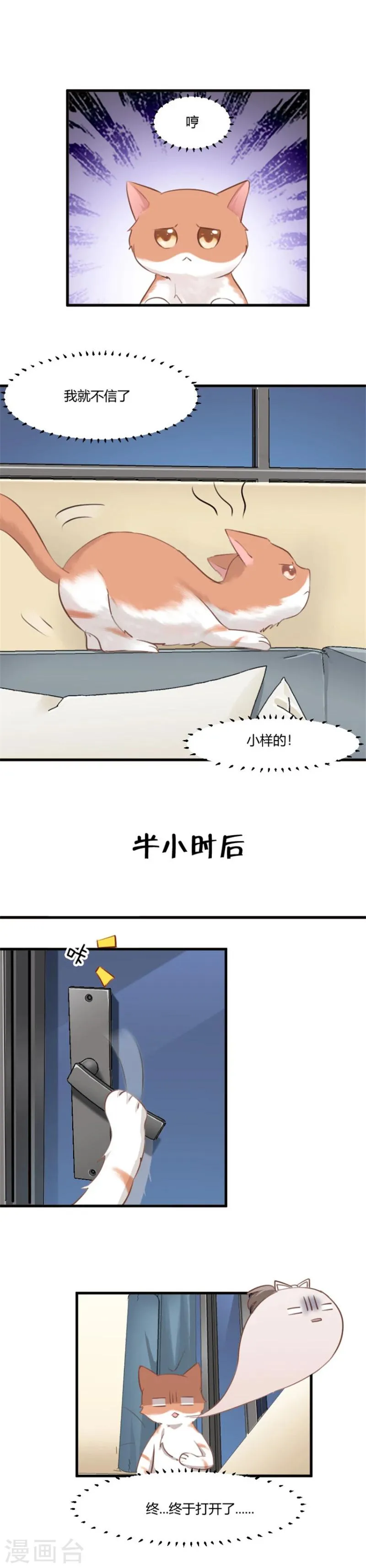 第6话 成功引起我的注意 第3页