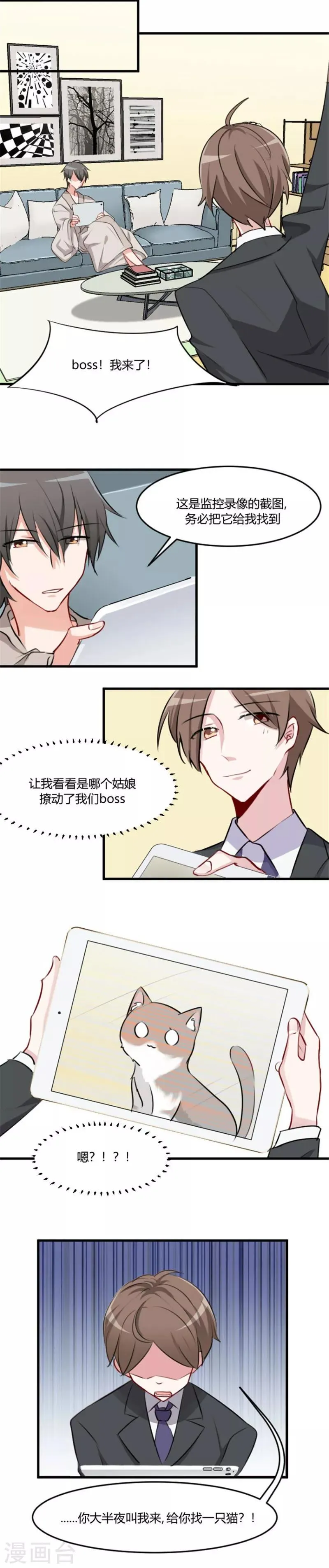 第7话 这猫好帅 第2页