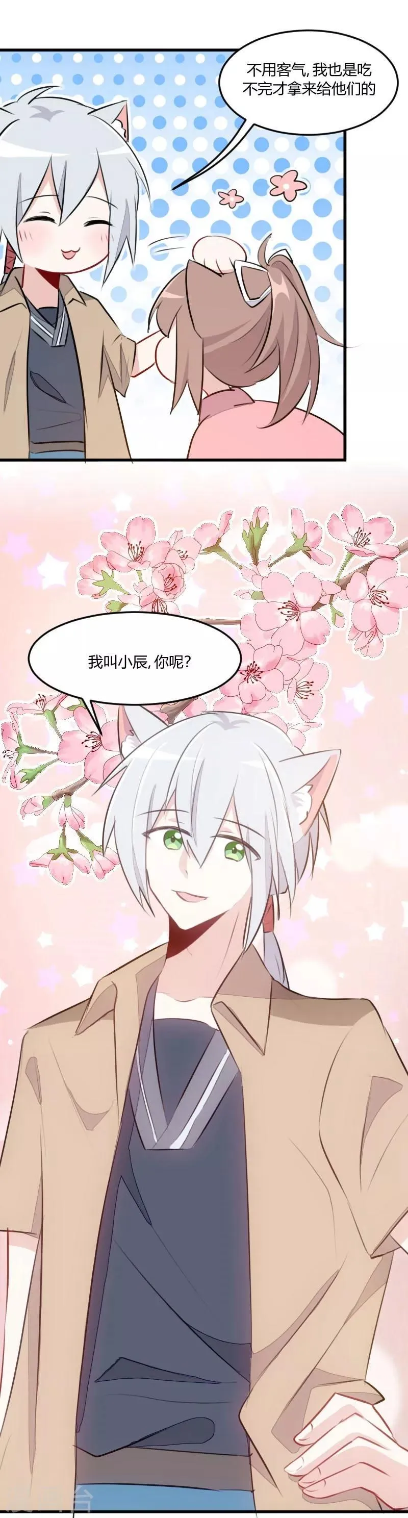 第7话 这猫好帅 第5页