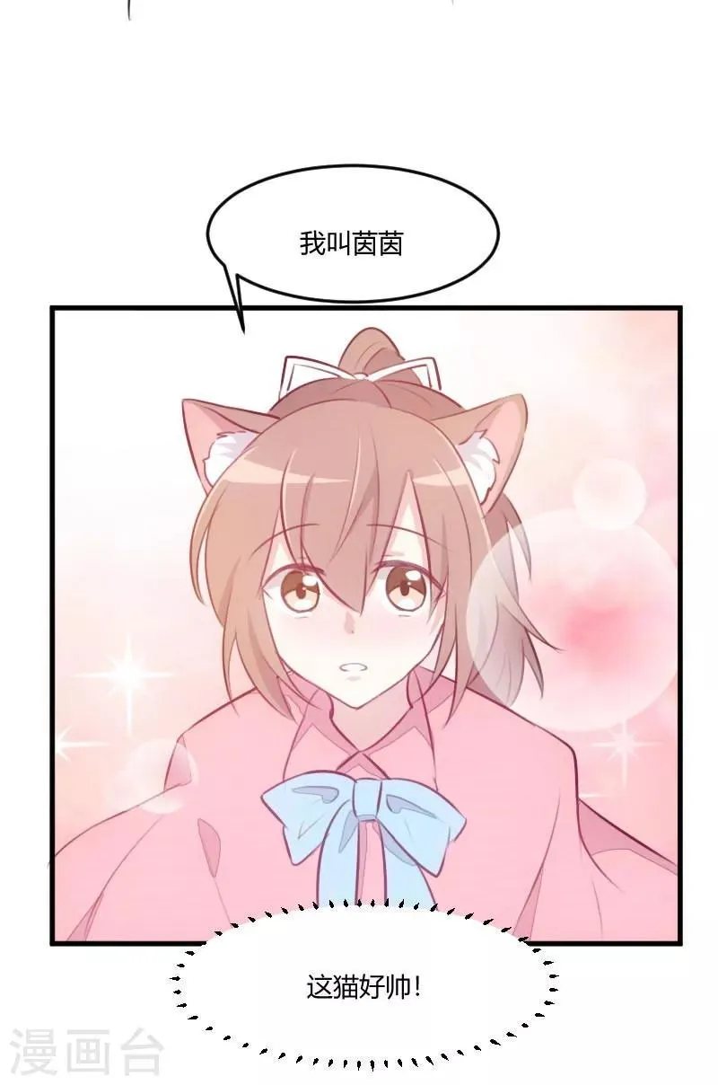 第7话 这猫好帅 第6页