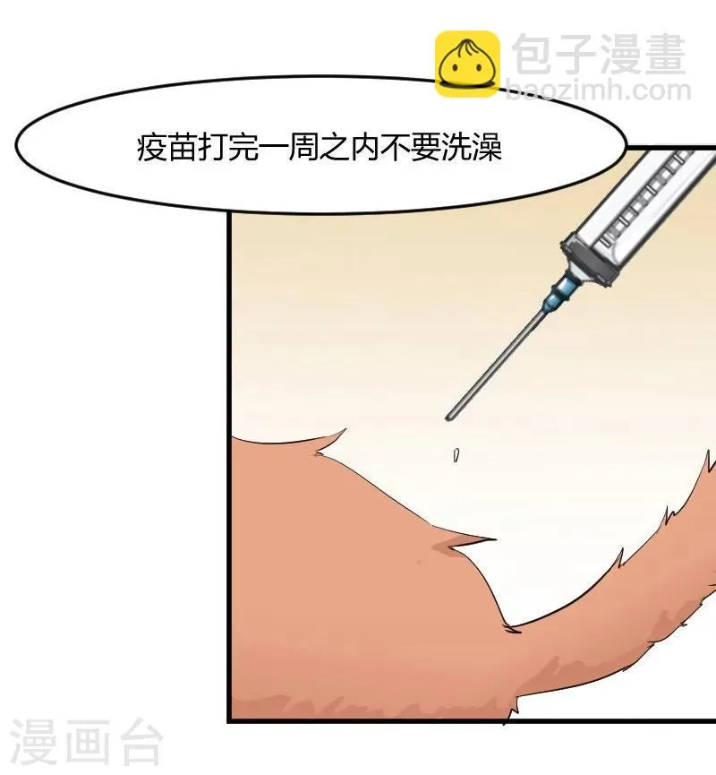 第17话 猫很活泼很健康 第11页