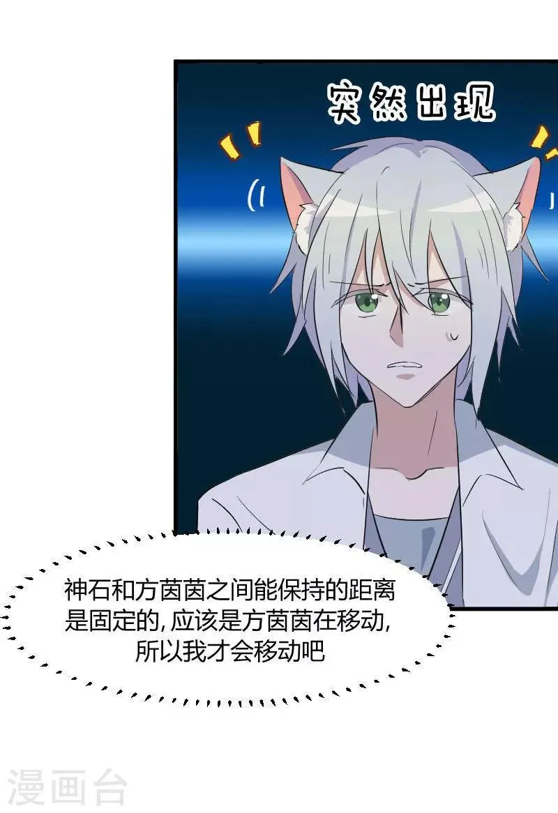 第17话 猫很活泼很健康 第18页
