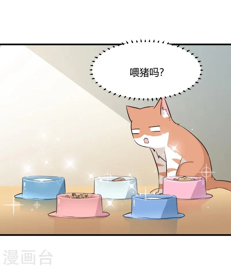 第18话 初见 第8页