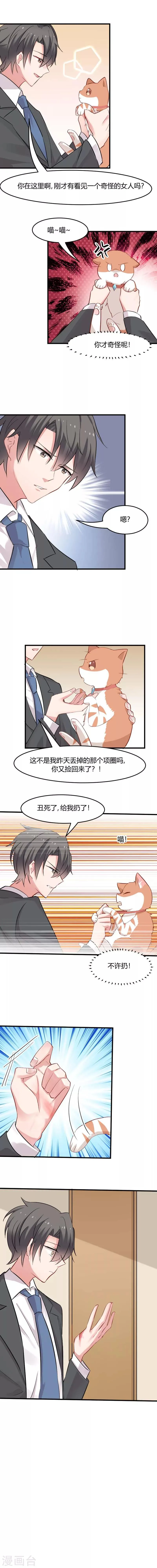 第22话 撸猫不成反被挠 第2页