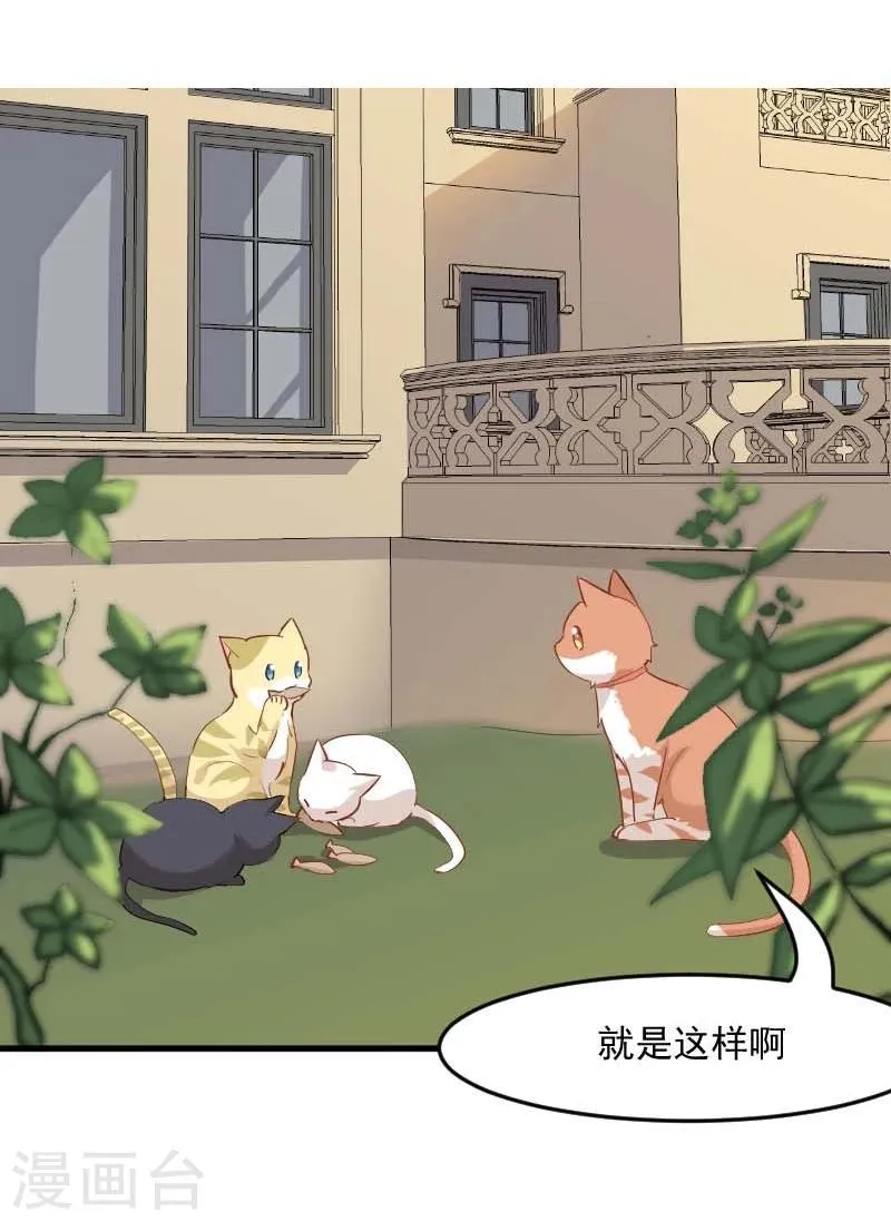 第23话 生气咯！？ 第8页