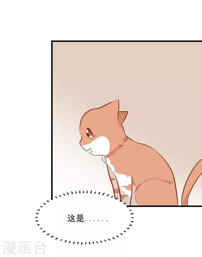 第24话 哇羞了！ 第5页