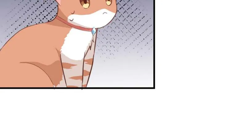 第24话 猫奴本奴了 第2页