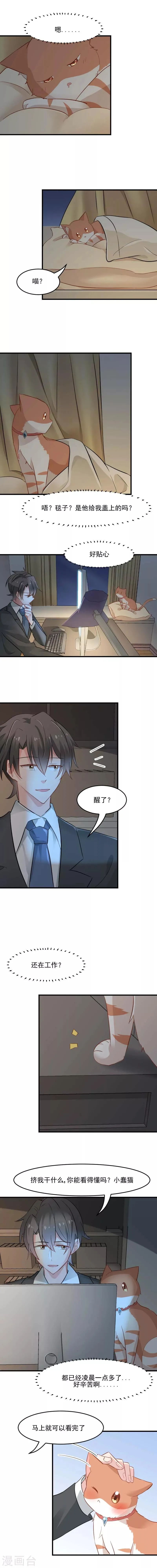 第25话 心疼了 第3页
