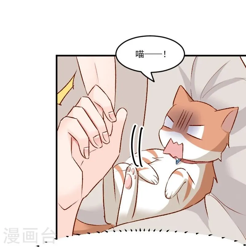 第36话 神石坏了？ 第17页