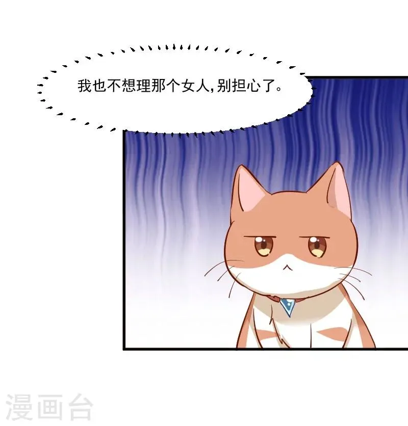 第37话 被欺负了 第13页