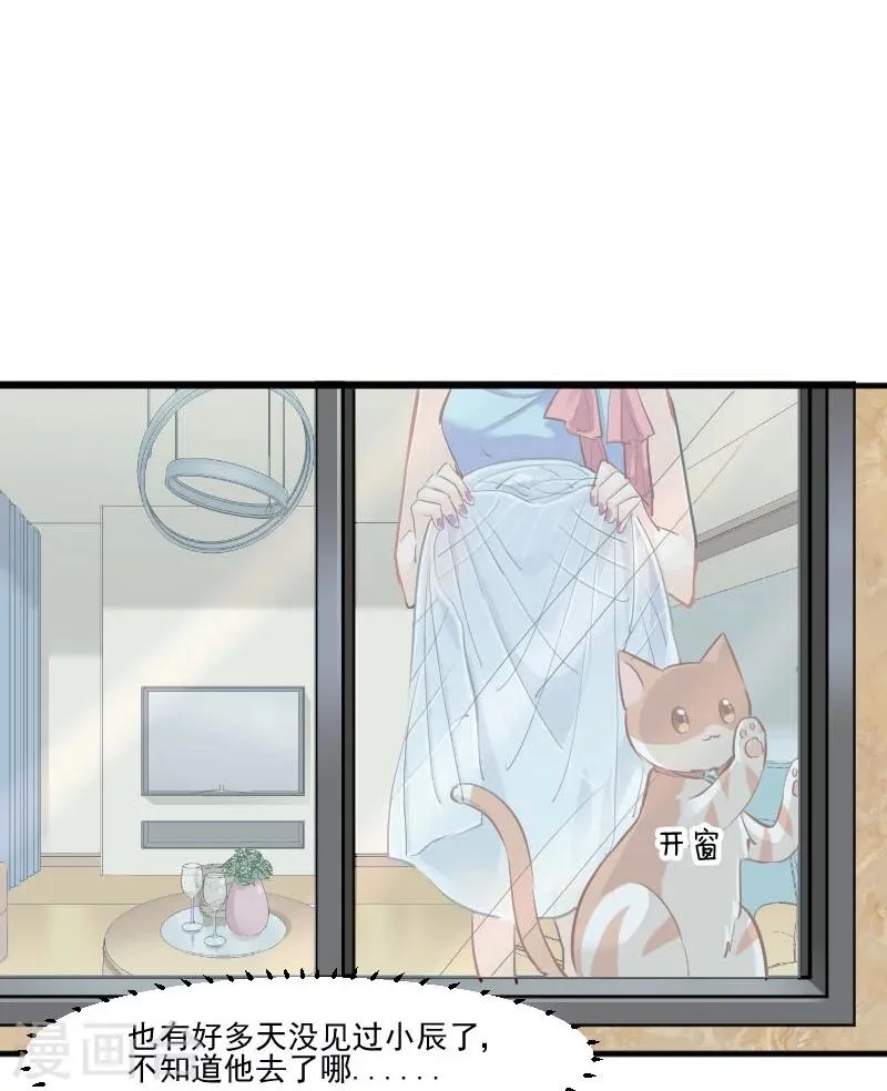 第37话 被欺负了 第17页