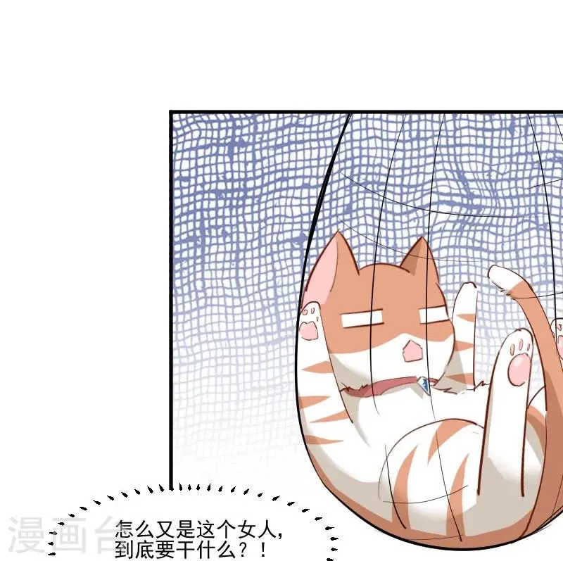 第37话 被欺负了 第20页