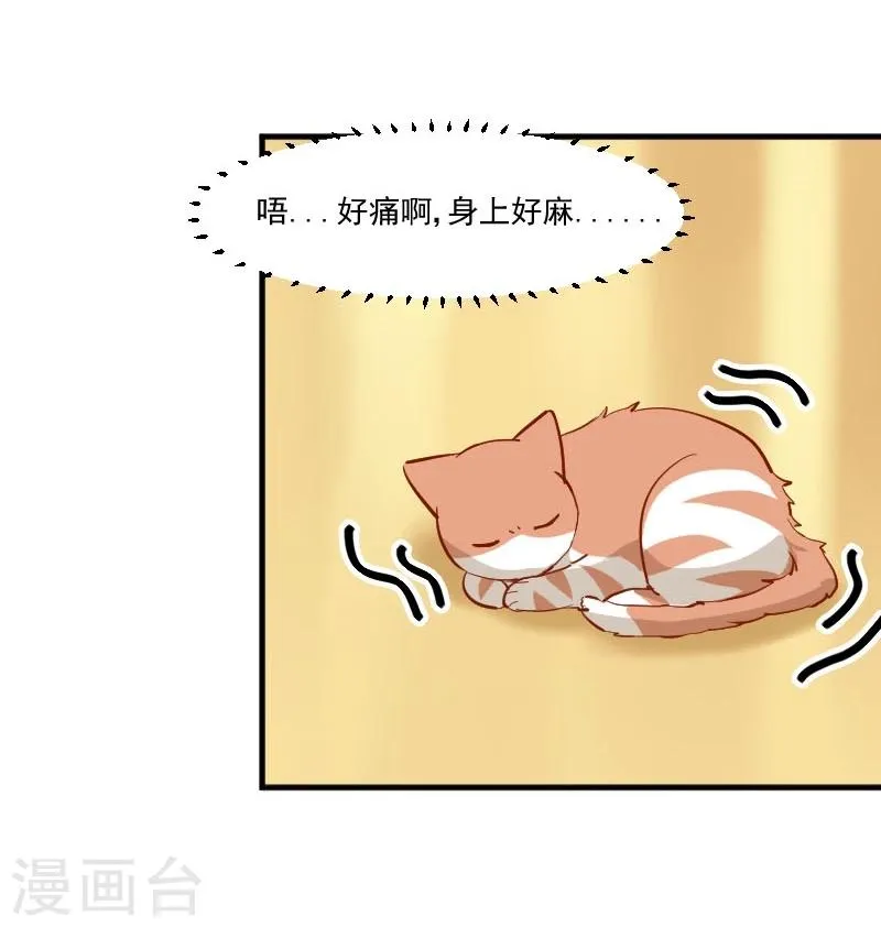 第38话 你在担心我吗？ 第6页