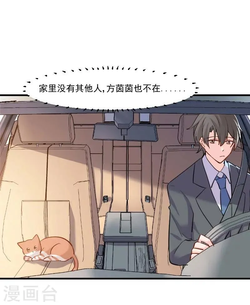 第39话 不许摸我的猫！ 第1页