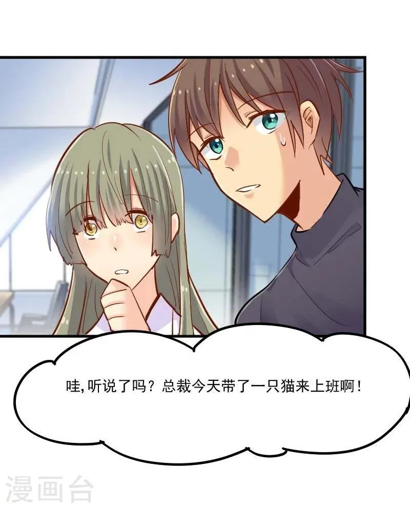 第39话 不许摸我的猫！ 第8页
