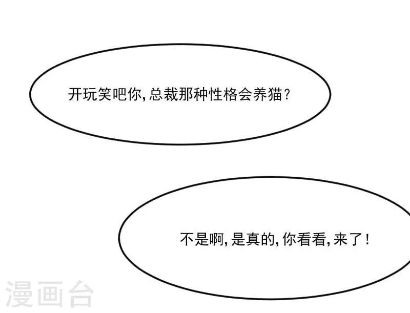 第39话 不许摸我的猫！ 第9页
