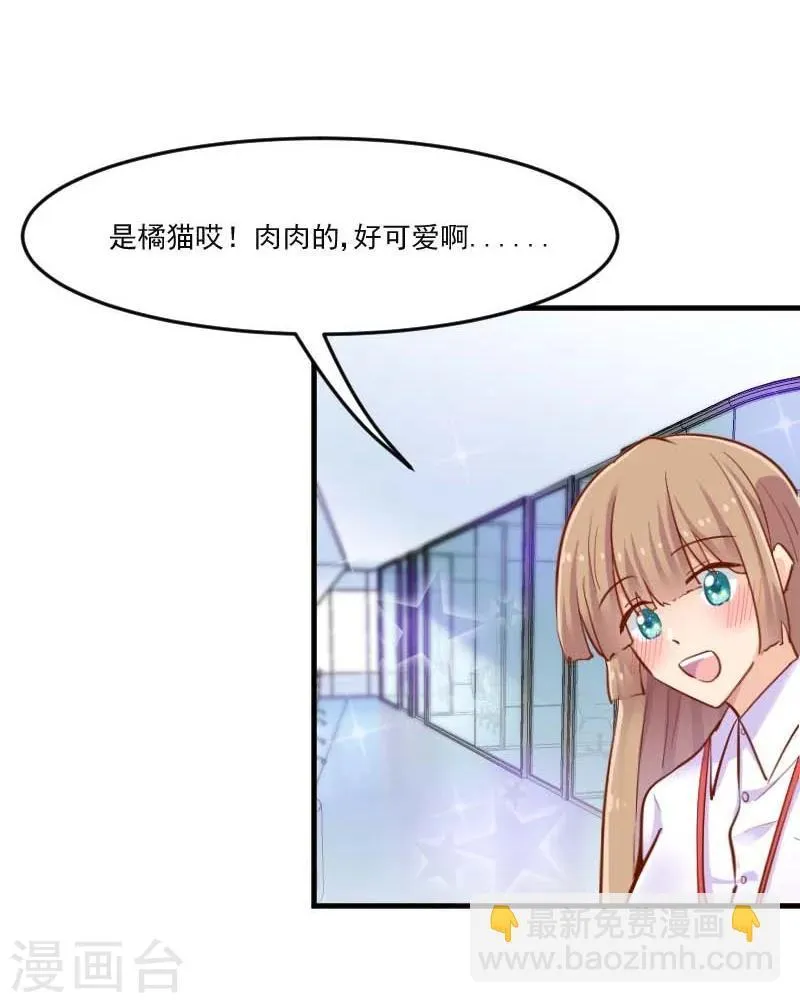 第39话 不许摸我的猫！ 第11页
