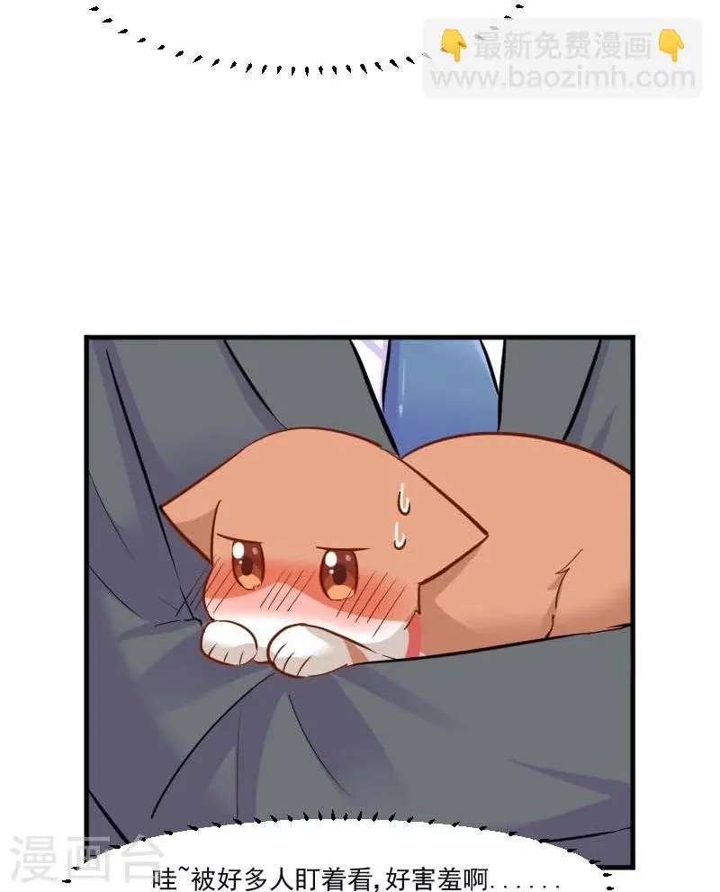 第39话 不许摸我的猫！ 第14页