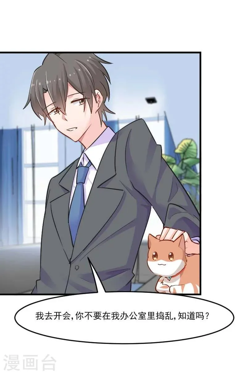 第39话 不许摸我的猫！ 第19页