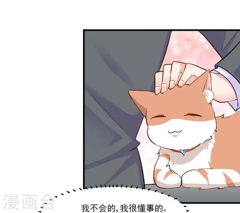 第39话 不许摸我的猫！ 第20页