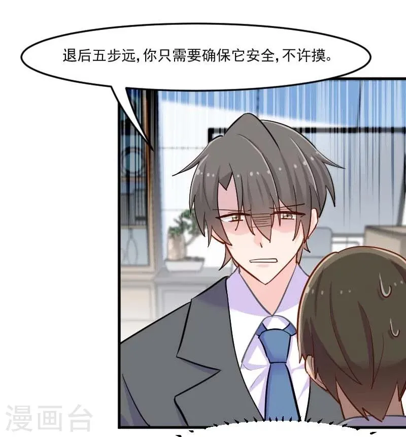 第39话 不许摸我的猫！ 第25页