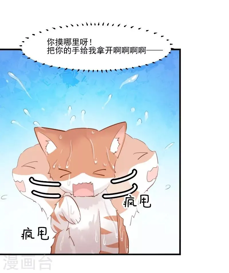 第41话 一起洗澡吧 第3页