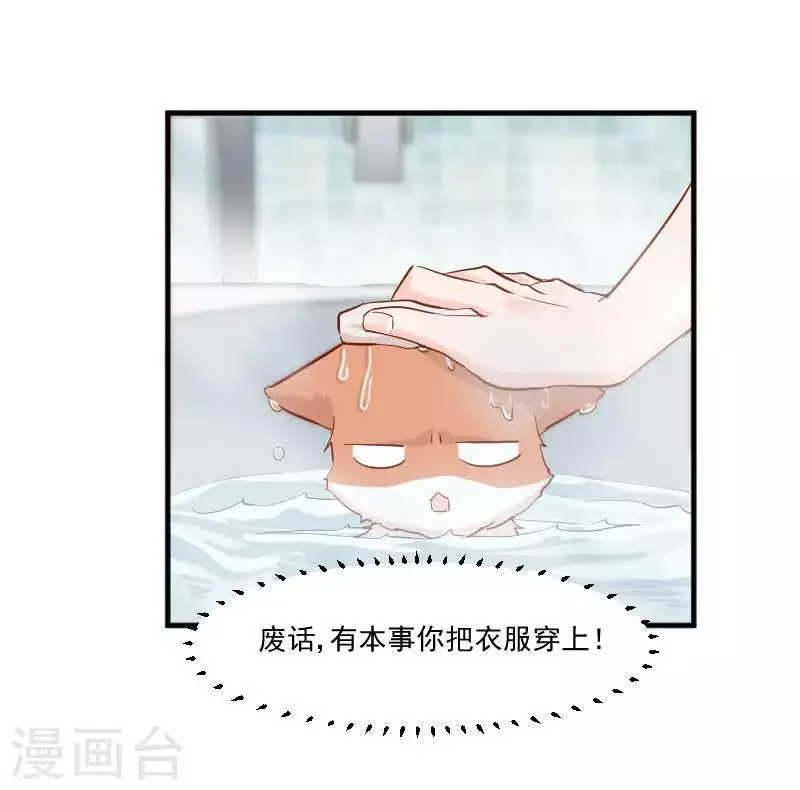 第41话 一起洗澡吧 第11页