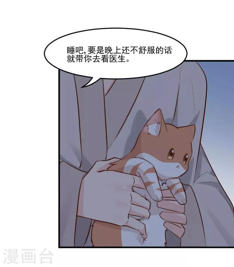 第42话 小辰回来了 第2页