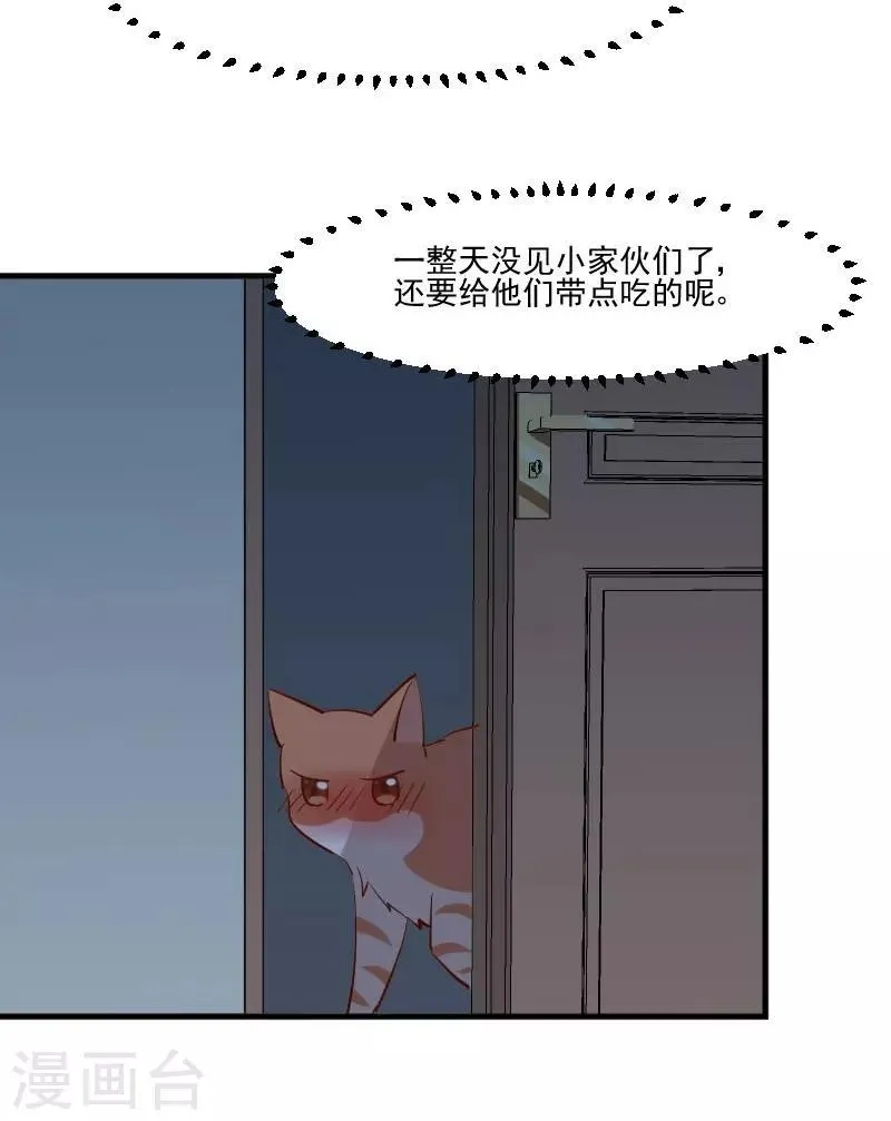 第42话 小辰回来了 第13页