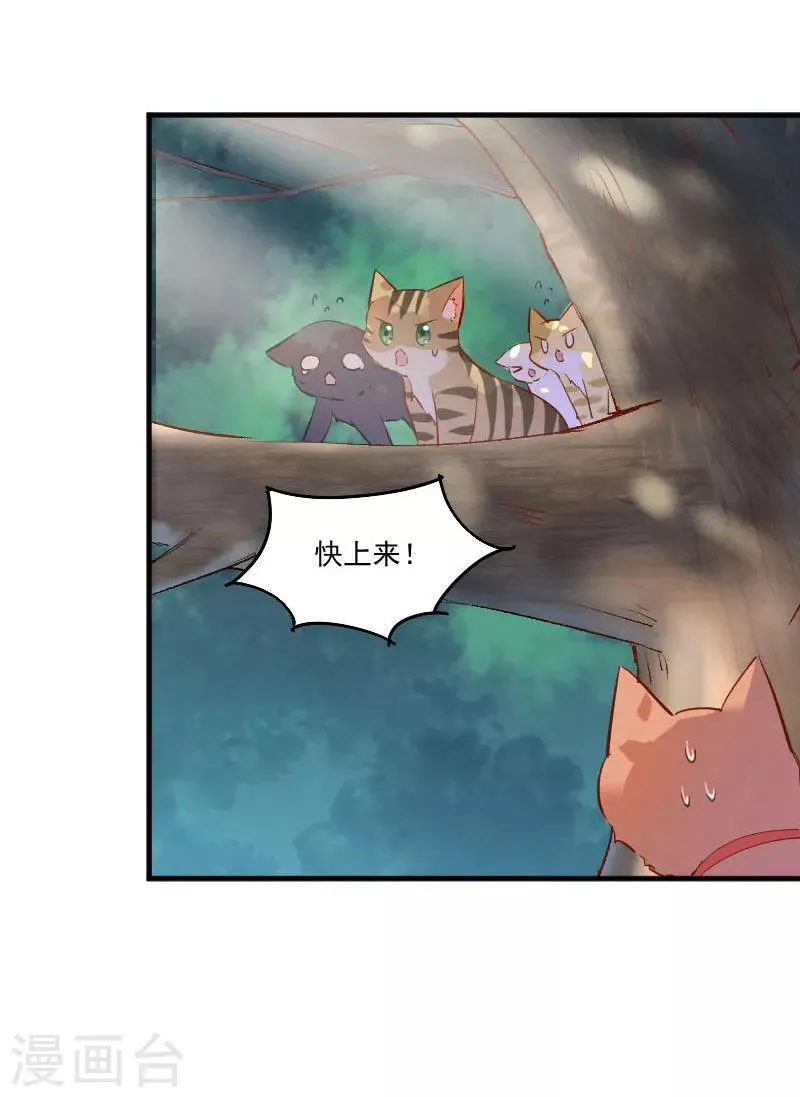 第50话 教训石倩 第3页