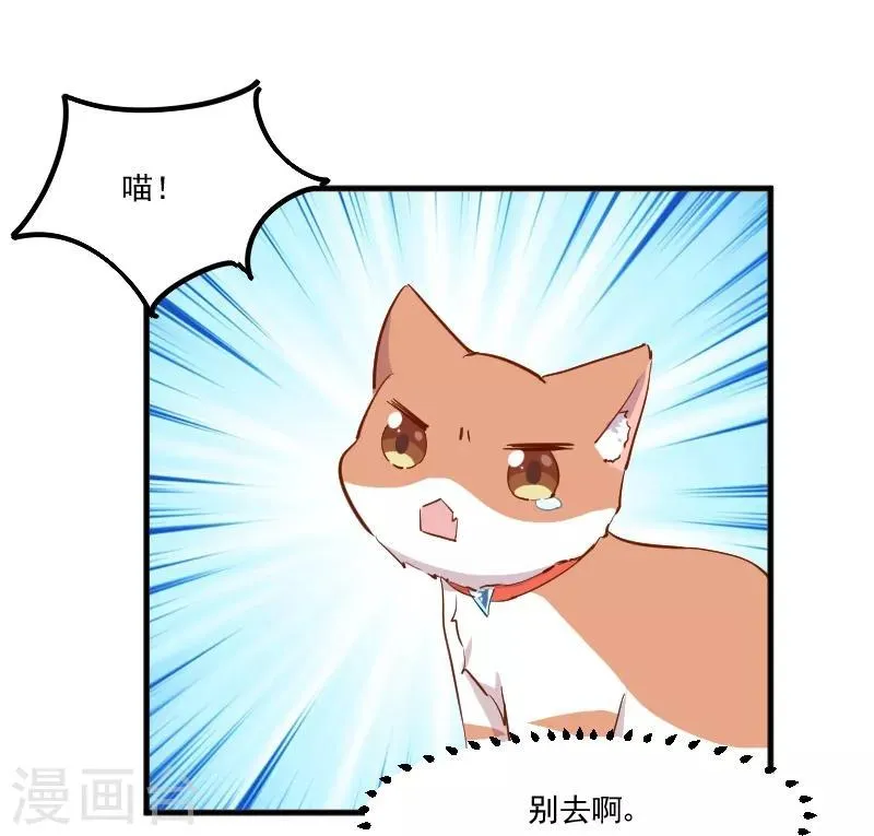 第51话 我要这只猫去死 第12页