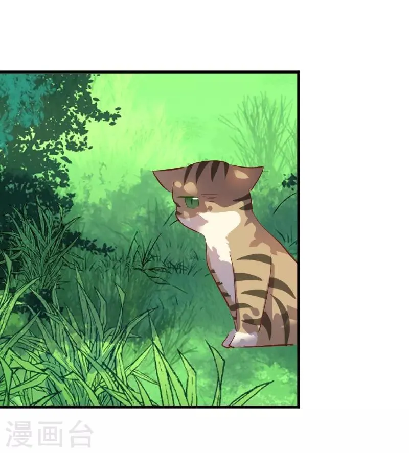 第61话 被发现是猫了 第19页