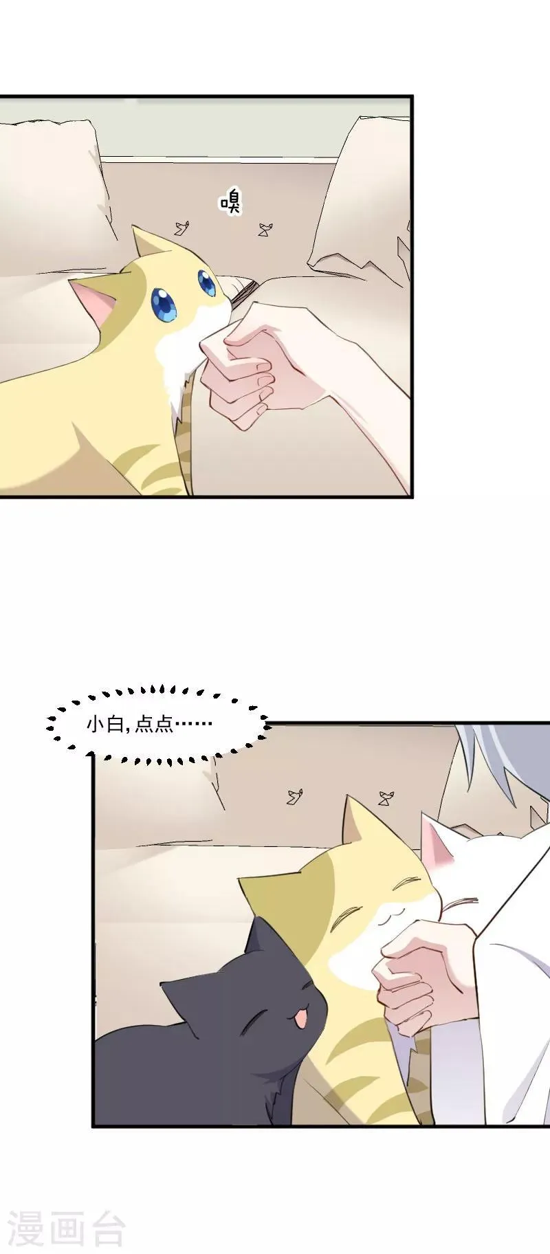 第104话 猫身上的秘密 第9页