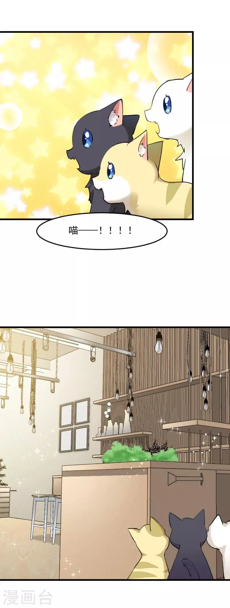 第120话 超豪华的猫屋！ 第4页