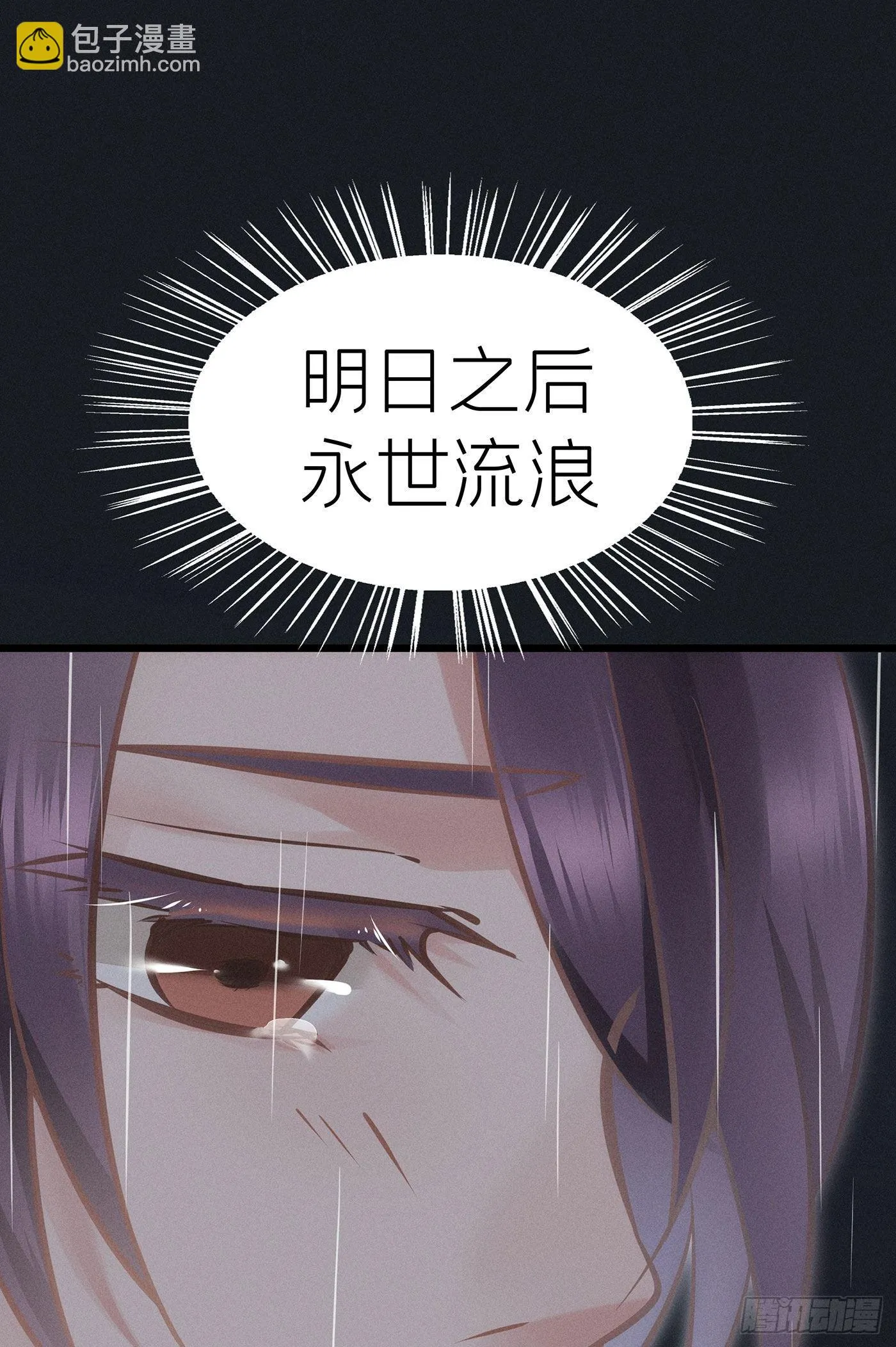 第二十七回 流浪儿（十一） 第27页