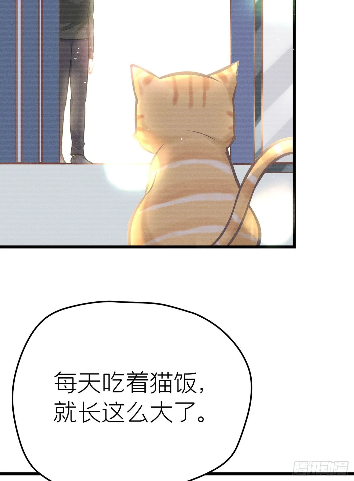 第二十八回 流浪儿（十二） 第13页