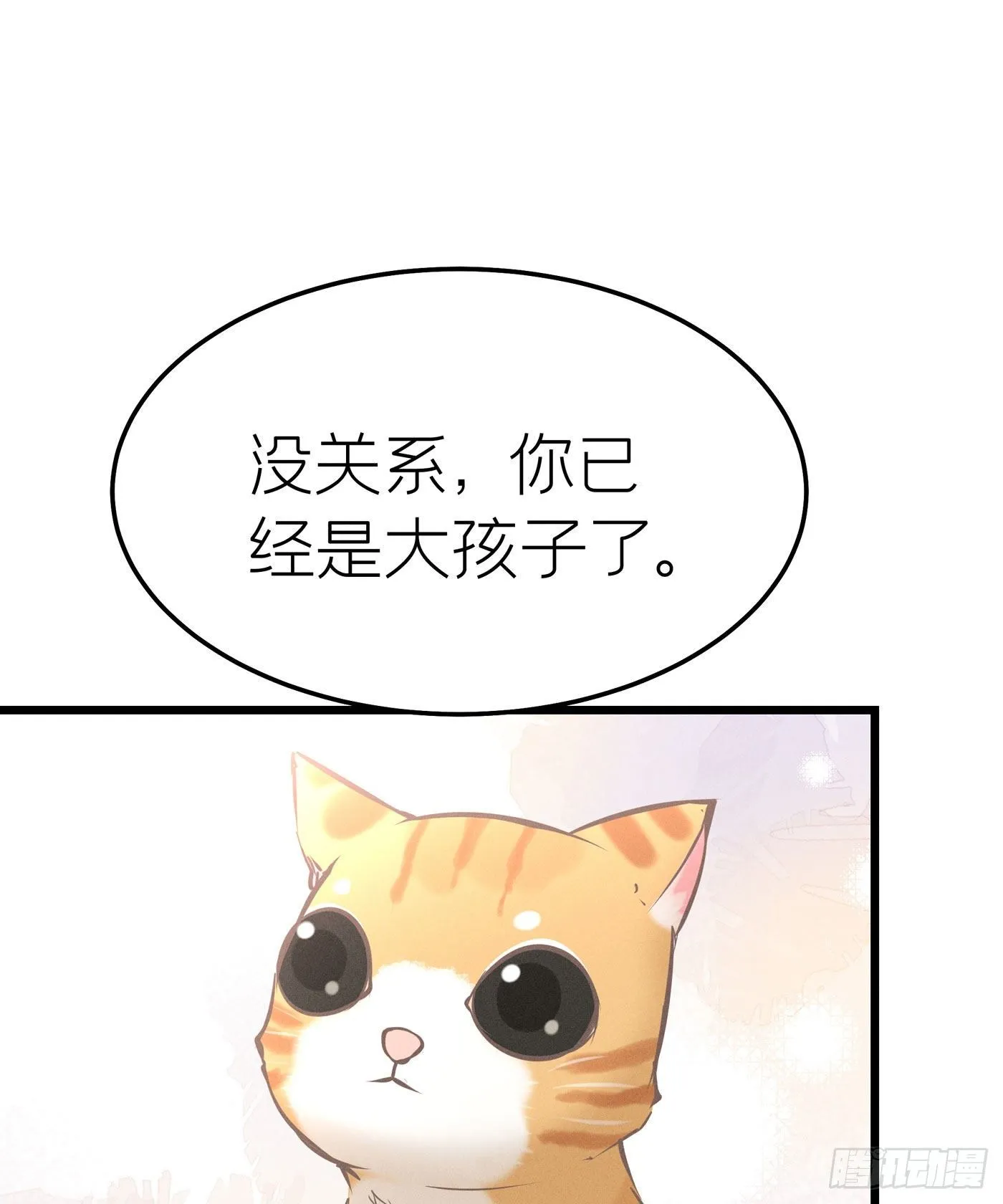 第二十八回 流浪儿（十二） 第17页